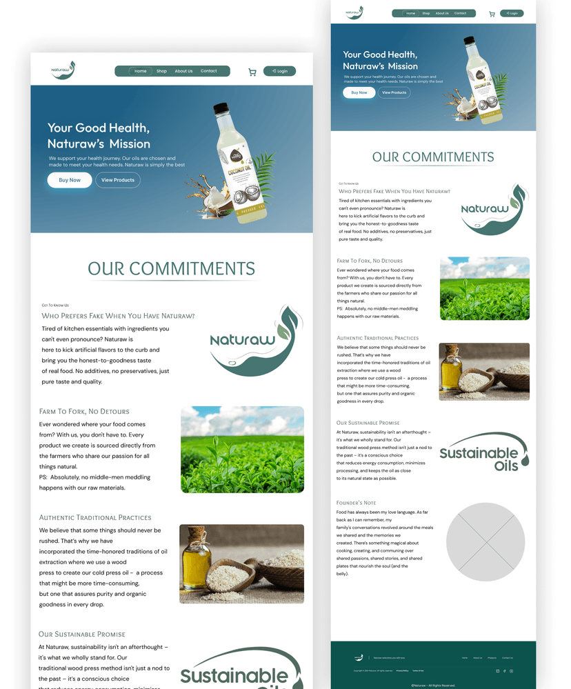 Website design showcase 2